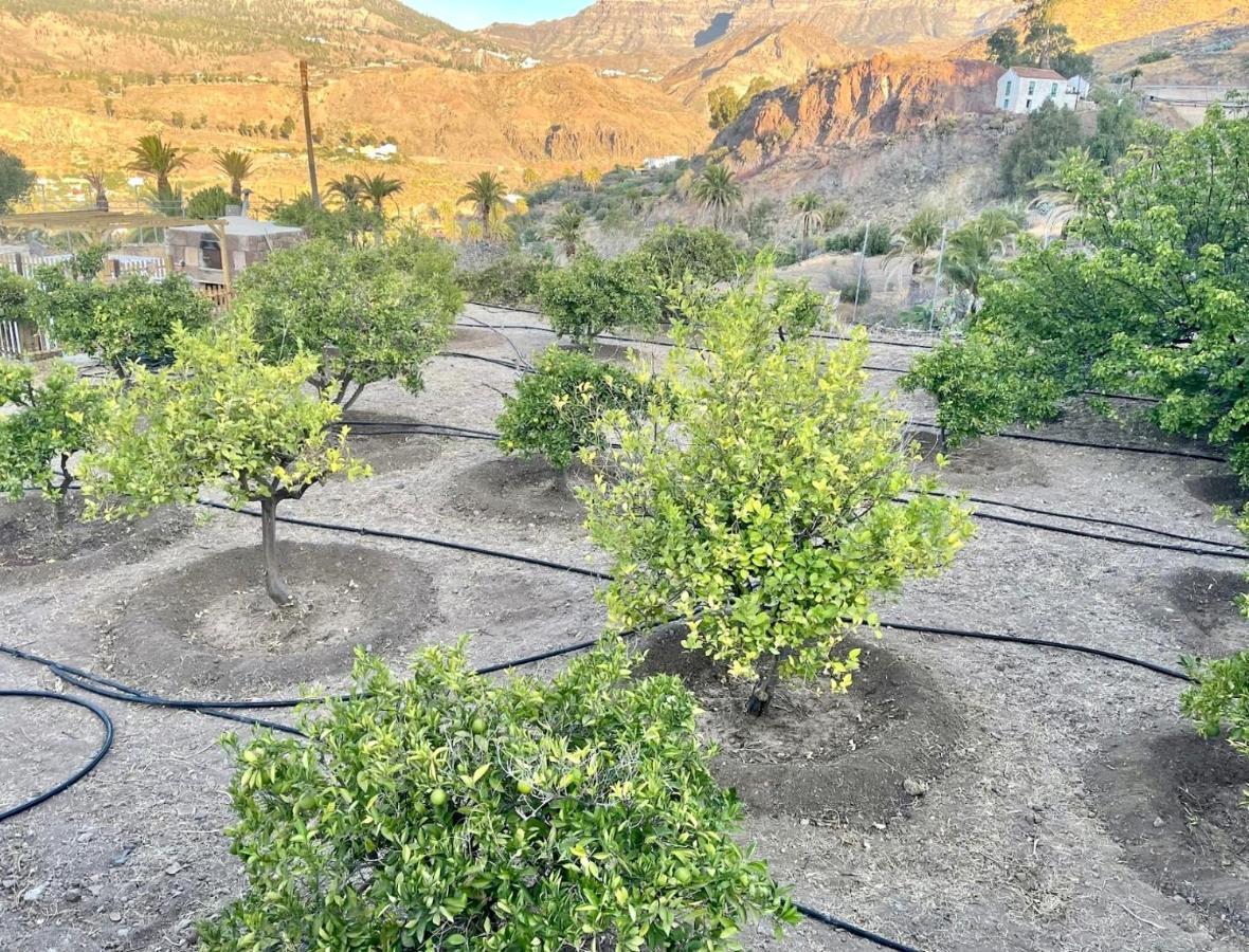 Casa Rural La Limera Con Piscina Privada Santa Lucia Buitenkant foto